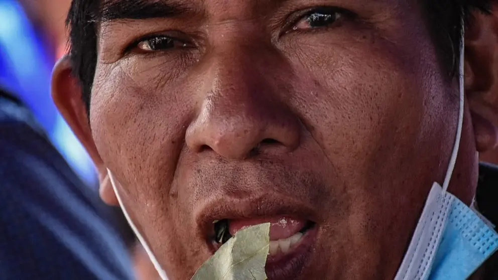 Un hombre se inserta una hoja de coca, en el D&iacute;a Nacional del Acullicu. DICO SOL&Iacute;S