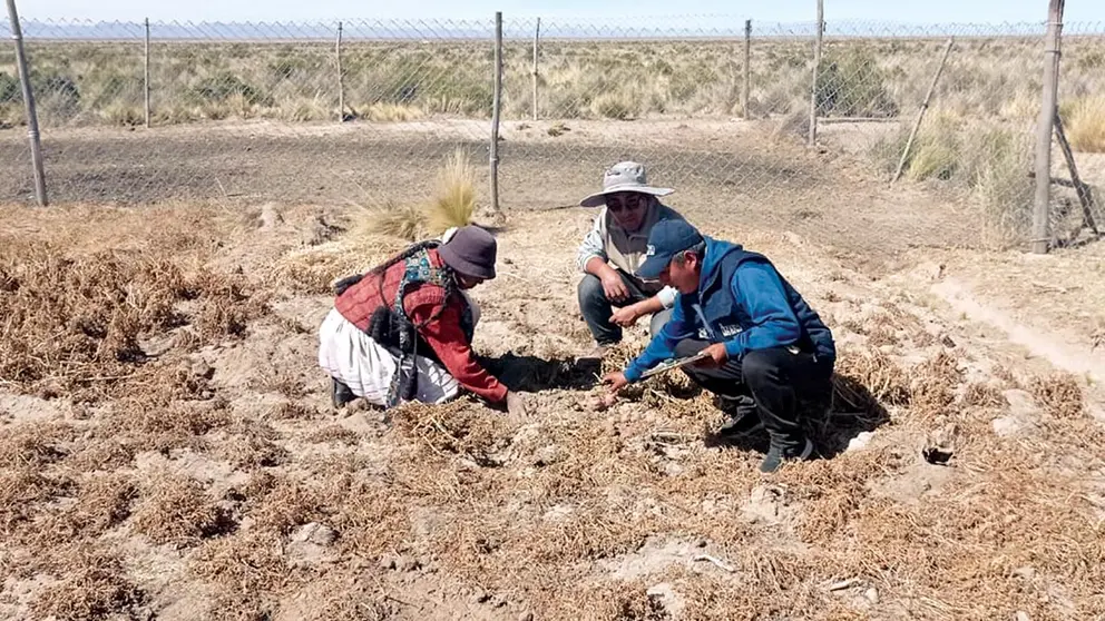 Un terreno agr&iacute;cola afectado por la sequ&iacute;a. ARCHIVO/ABI