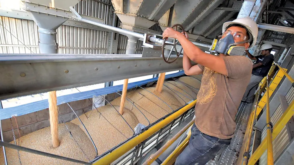 La estatal Emapa acopia ma&iacute;z en sus silos. EMAPA