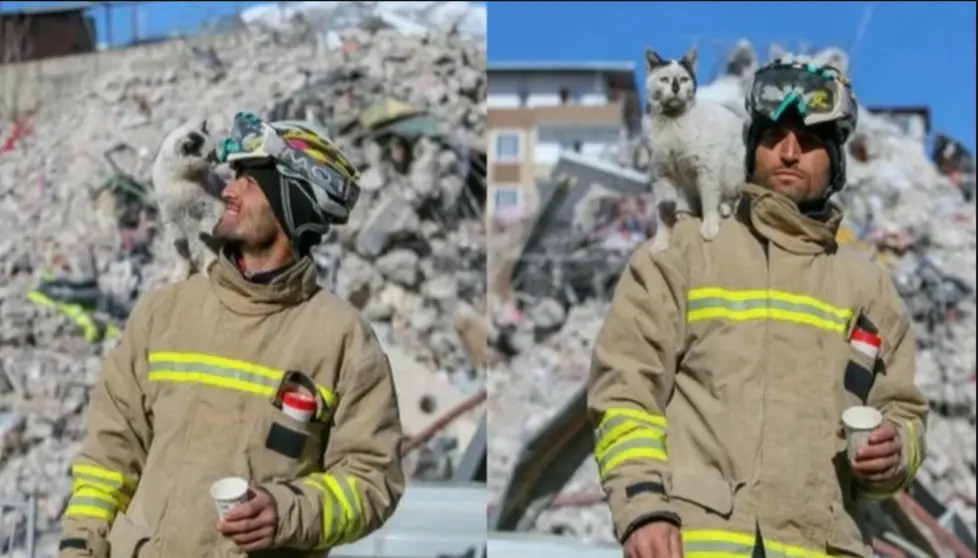"Enkaz", un gatito rescatado en Turqu&iacute;a, que ahora no se separa de su salvador.