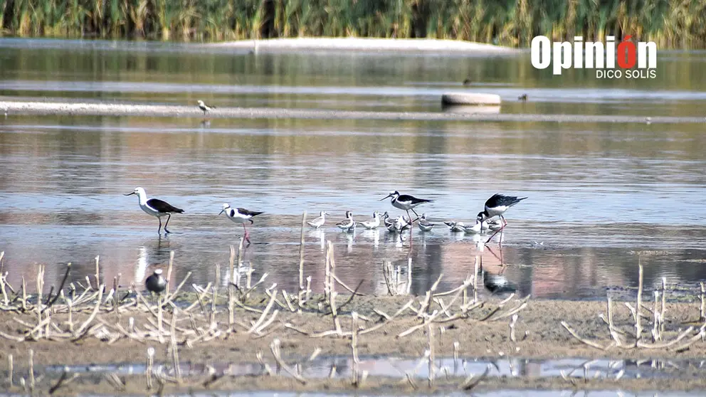 La laguna Alalay, en la zona sureste de la ciudad. DICO SOL&Iacute;S