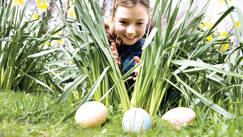 Los huevos tradicionales de Pascua./ AGENCIA