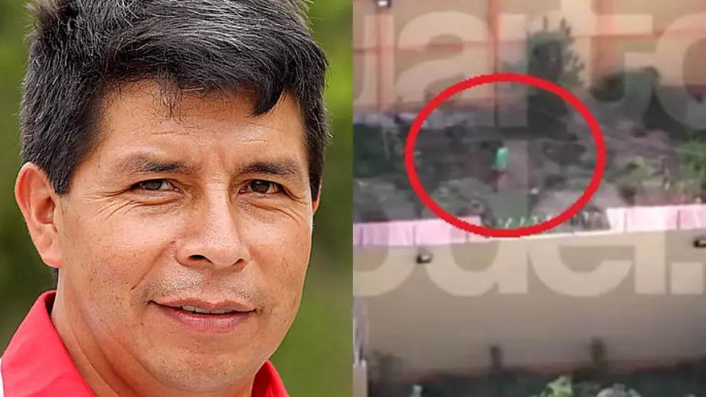 El expresidente de Per&uacute; Pedro Castillo. Del lado derecho, la imagen del incaico aparentemente sembrando sus alimentos en la c&aacute;rcel. Composici&oacute;n OPINI&Oacute;N