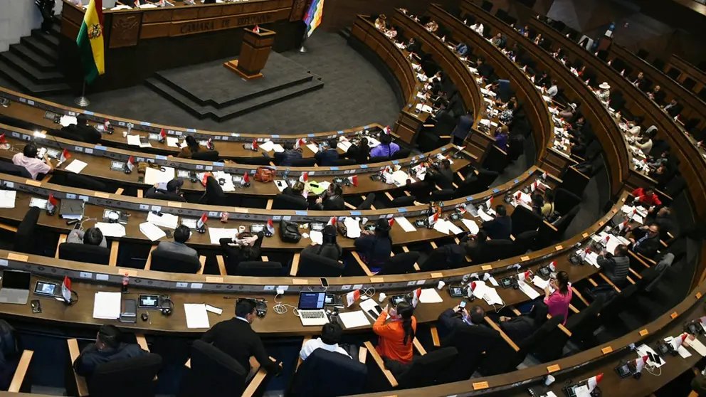 Sesi&oacute;n de la ALP./ APG