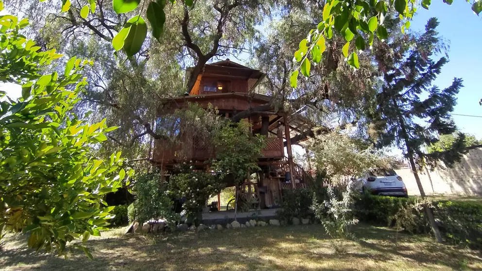 Vista panor&aacute;mica de la casa del &aacute;rbol./ DICO SOL&Iacute;S