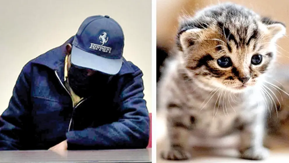 Del lado derecho, un felino. Del otro, Cleto Paucara, condenado a seis años y medio por asesinar a gatos./  GENTILEZA APLAB