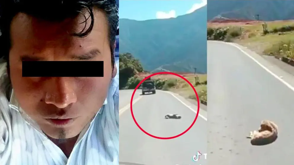 Conductor acusado de haber lanzado a cachorro desde su veh&iacute;culo niega el hecho./ URGENTE.BO