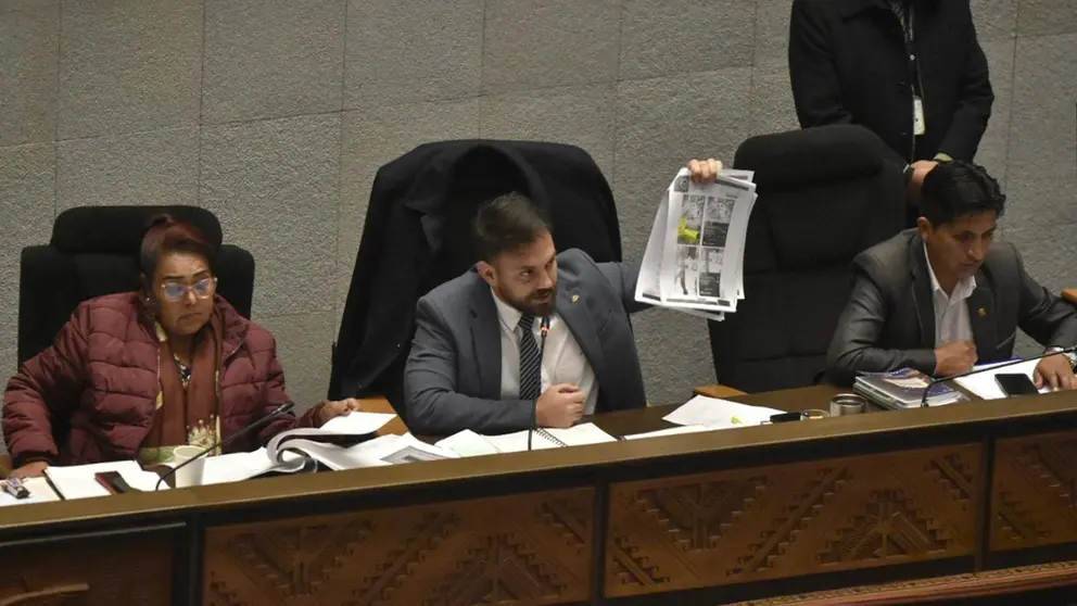 El ministro de Gobierno, Eduardo Del Castillo, en su interpelaci&oacute;n./ APG