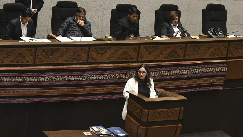 Interpelaci&oacute;n a la ministra de Salud, Mar&iacute;a Renee Castro, este mi&eacute;rcoles./ APG