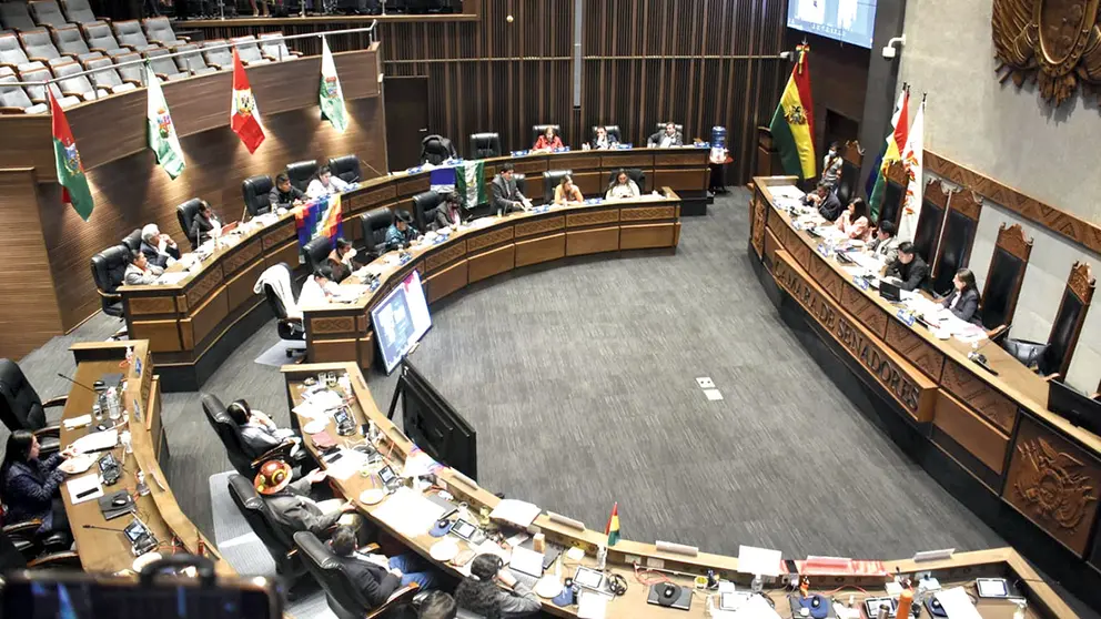 Una sesi&oacute;n de la C&aacute;mara de Senadores./ ABI