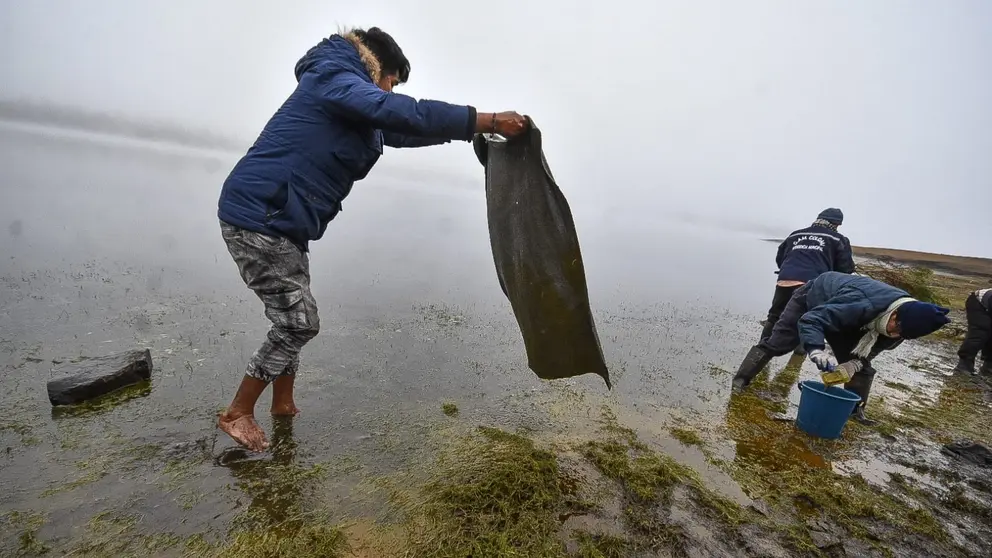 Fernando Alanoca, el chofer que derram&oacute; aceite vegetal en Corani, ayuda en la limpieza de la laguna. DICO SOL&Iacute;S