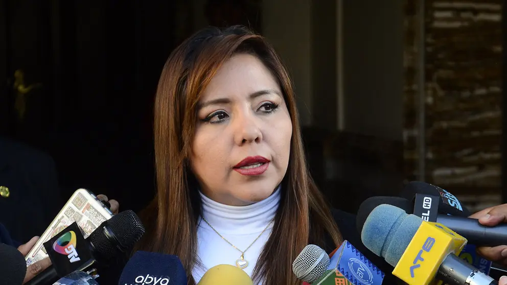 La viceministra Alc&oacute;n, en entrevista con medios de comunicaci&oacute;n./ ABI