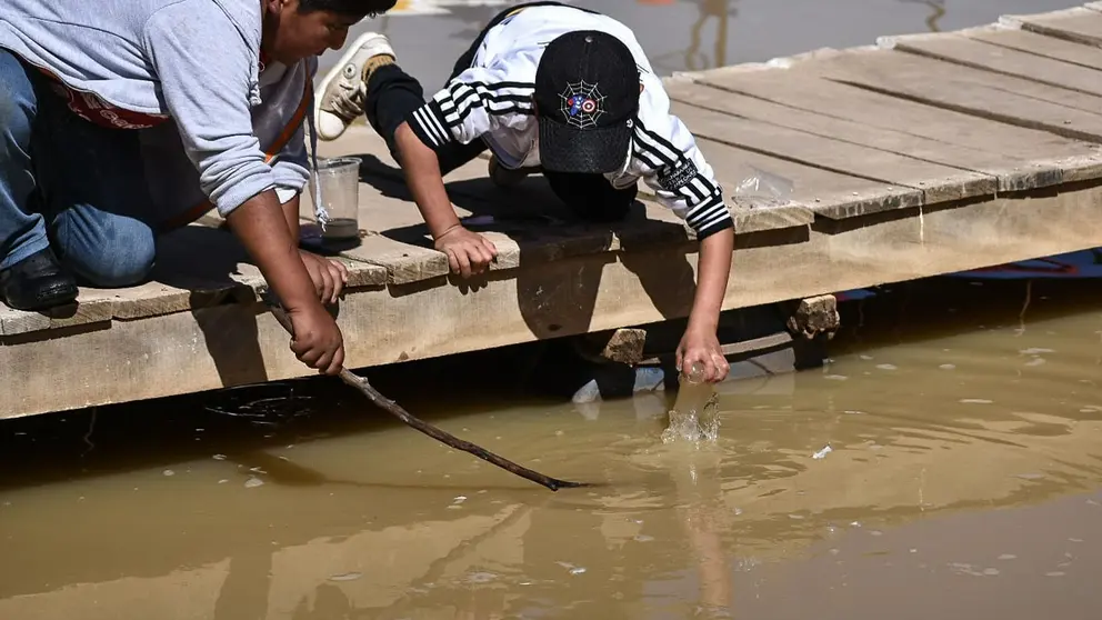 Muerte de peces contin&uacute;a en La Angostura; ni&ntilde;os juegan con animales sin vida en aguas contaminadas./ DICO SOL&Iacute;S