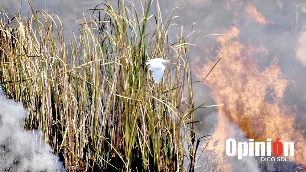 Un incendio en la laguna de Quenamari en la zona sur de Cochabamba./ DICO SOL&Iacute;S