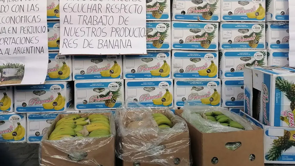Imagen sobre la exportaci&oacute;n de pl&aacute;tano./ TOMADA DE ERBOL