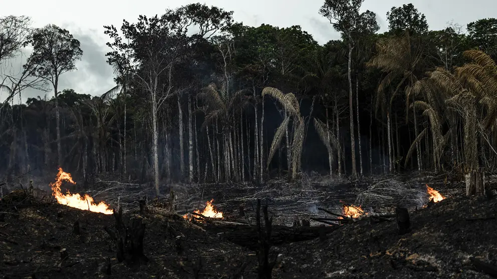 Vista de incendios en la Amazon&iacute;a de Brasil, en una fotograf&iacute;a de archivo./ EFE