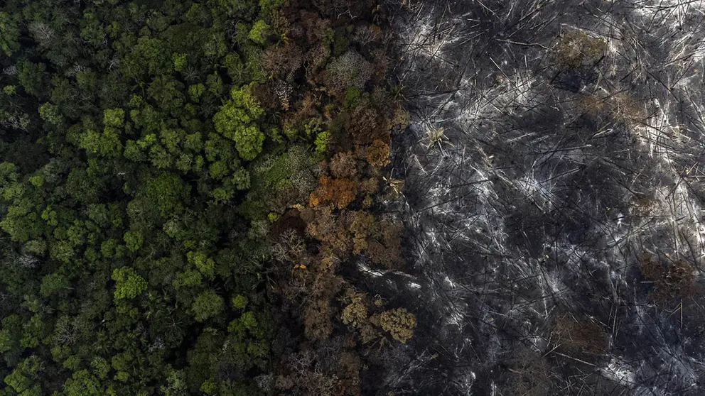 Fotograf&iacute;a a&eacute;rea muestra hoy la destrucci&oacute;n causada por uno de los incendios en la selva amaz&oacute;nica, en el municipio de Manaquiri cerca a Manaos, estado de Amazonas (Brasil)./ EFE