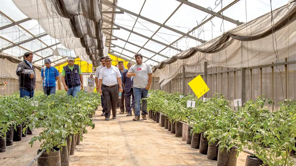 La entrega de los plantines en Sipe Sipe./ GOBERNACI&Oacute;N