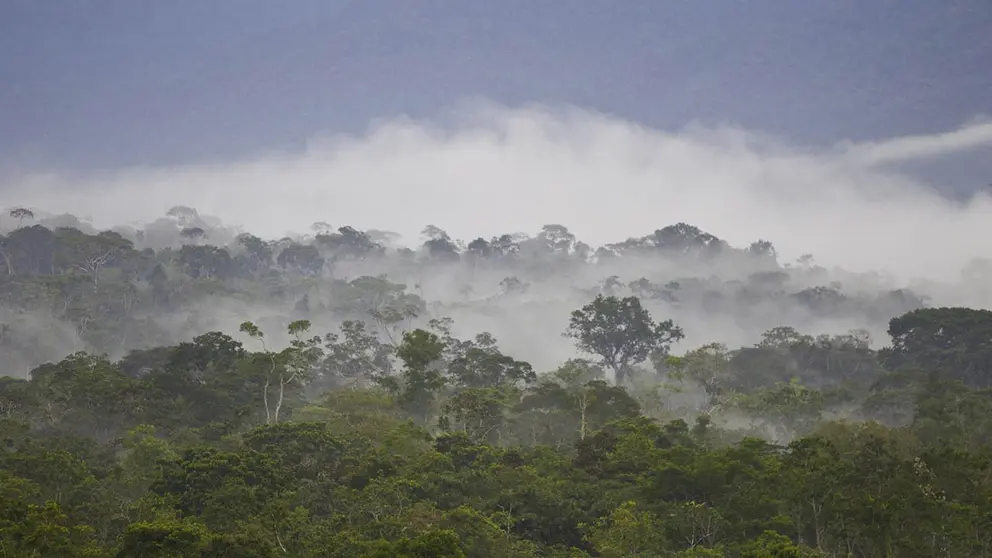 Vista de la Amazon&iacute;a ecuatoriana, en una fotograf&iacute;a de archivo./ EFE