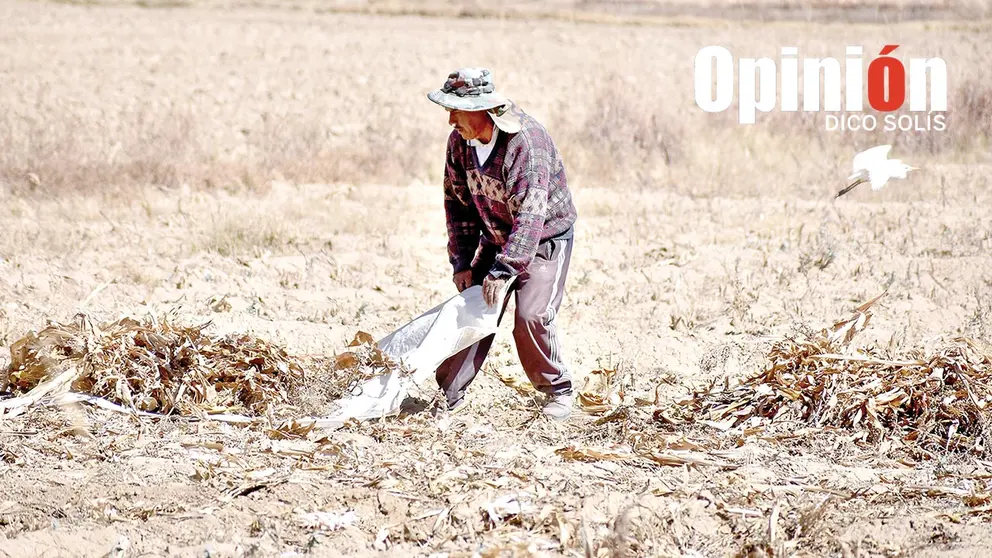 Campos con falta de agua en el Valle Alto./ DICO SOL&Iacute;S