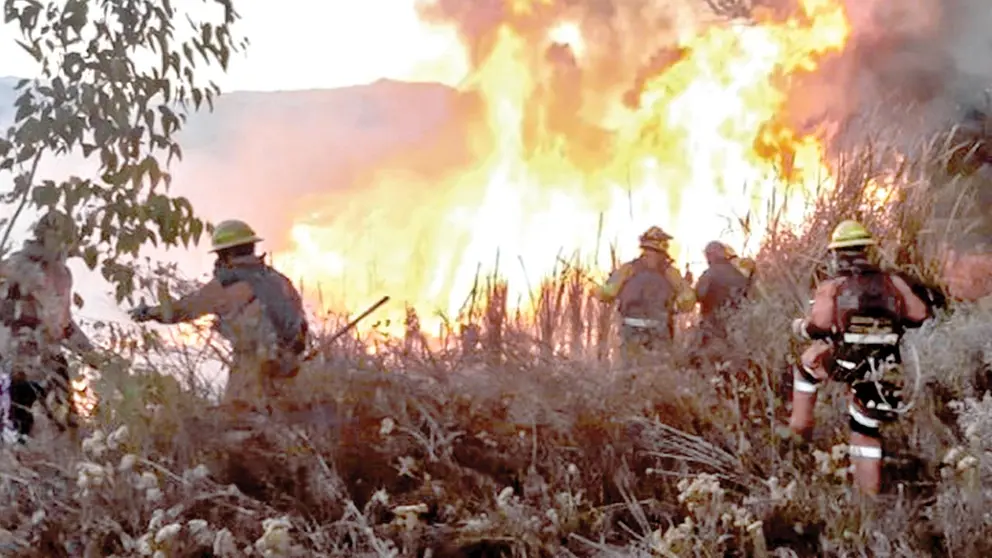 Bomberos intentan sofocar un incendio./ ABI