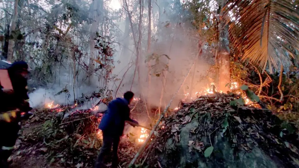 Los incendios en el norte de La Paz causan estragos./ RADIO TELEVISION PALOS BLANCOS