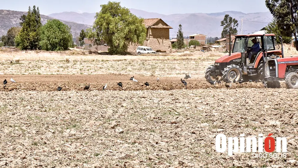 La afectaci&oacute;n por sequ&iacute;a en campos agr&iacute;colas en Punata, en semanas anteriores./ DICO SOL&Iacute;S