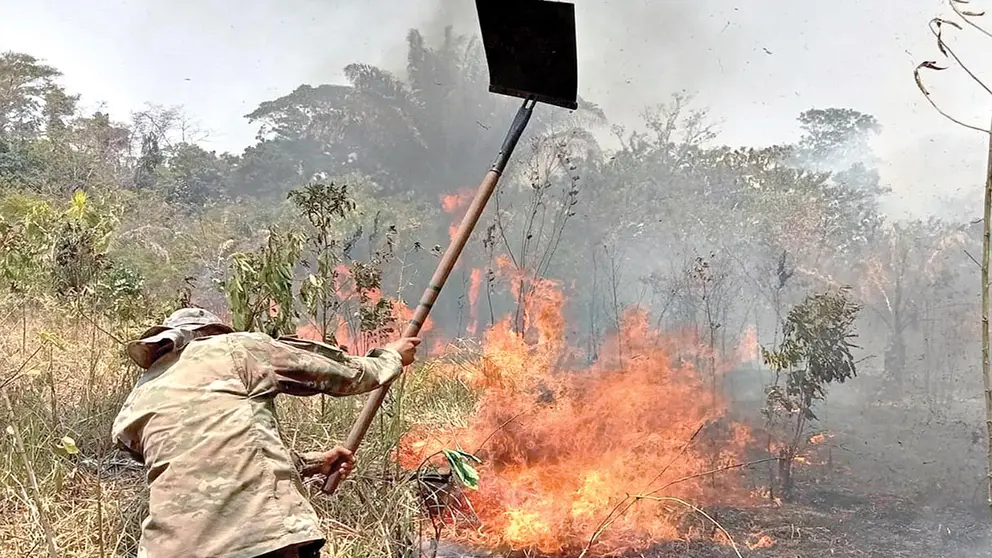 Militares apoyan en las tareas para apagar los incendios en el oriente del pa&iacute;s./ APG