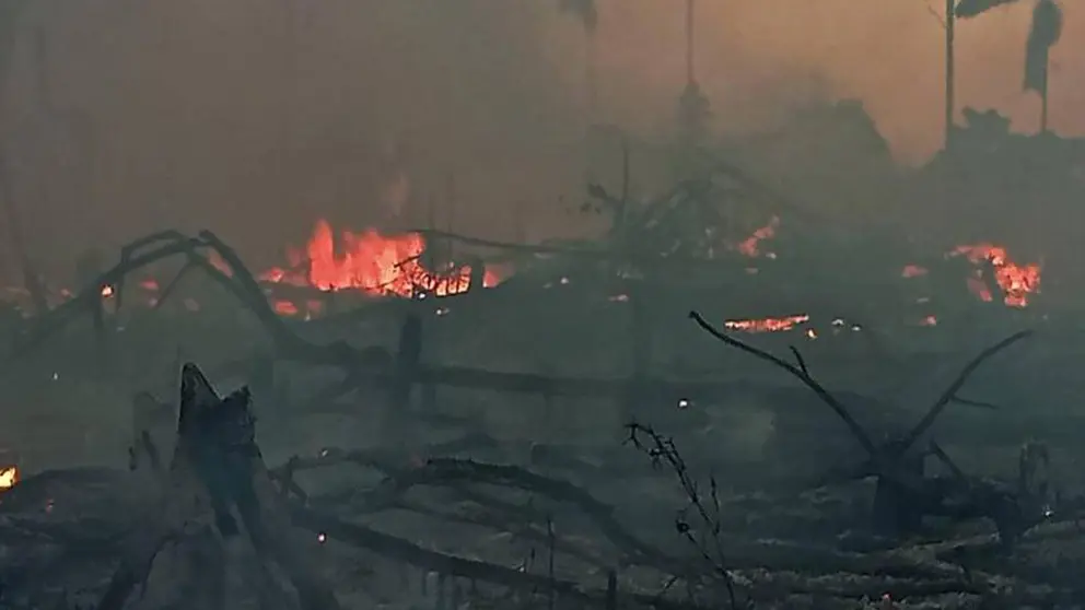 Incendio en el Madidi est&aacute; siendo intervenido por grupos./ TOMADA DE URGENTE.BO