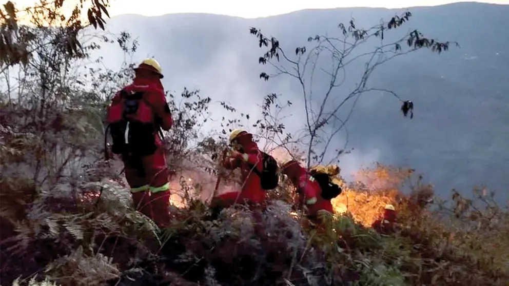 Foto referencial de un incendio en una reserva forestal./ ABI