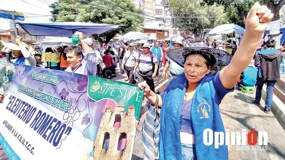 La marcha del ala evista del MAS-IPSP, este 20 de noviembre en Cochabamba./ DICO SOL&Iacute;S