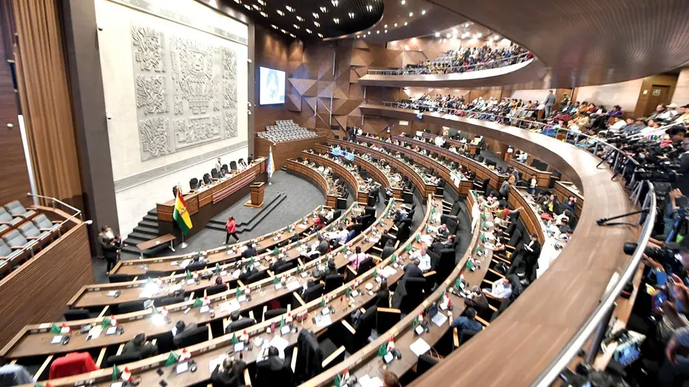 Incidencias de la cuarta sesi&oacute;n ordinaria de la Asamblea Legislativa Plurinacional./ ABI