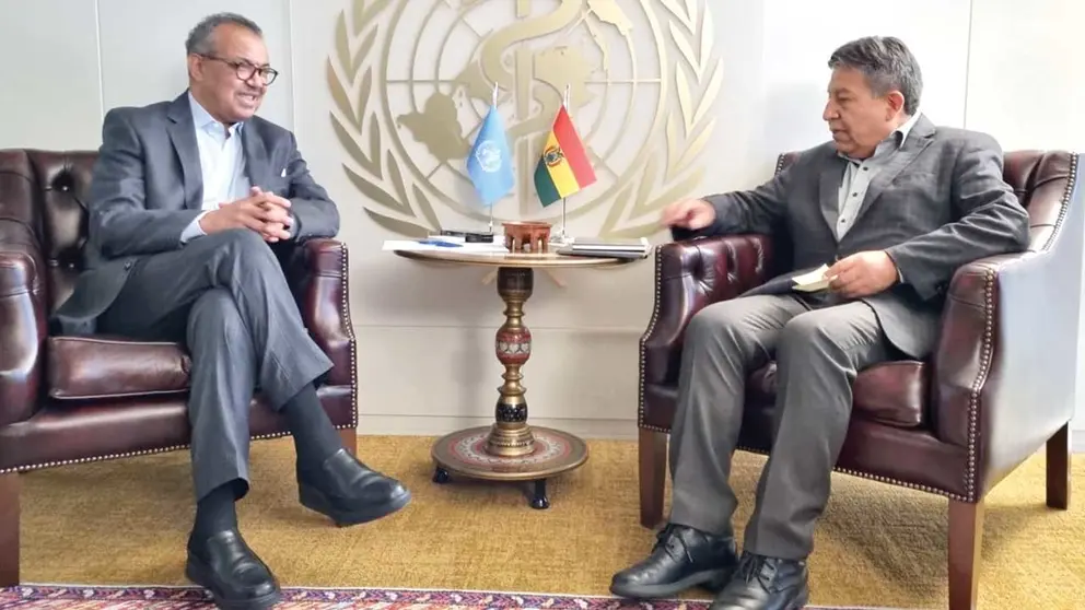 Reuni&oacute;n entre David Choquehuanca (d) y el director general de la OMS, Tedros Adhanom./ ABI