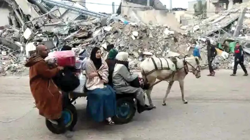 Palestinos escapan hacia Egipto, en coche de tracci&oacute;n animal./ SOPA IMAGES