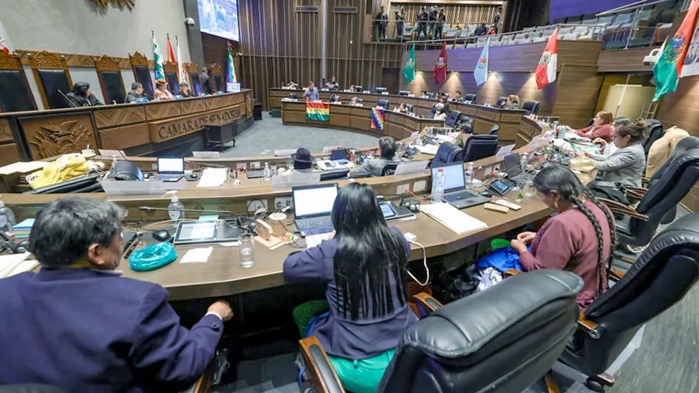 Sesón en la Cámara de Senadores./ PRENSA SENADO