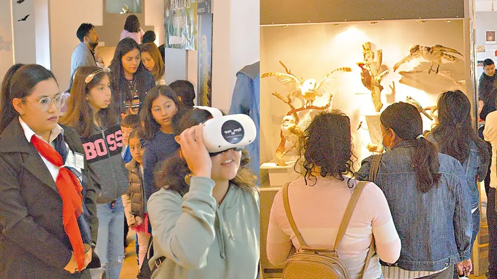 El p&uacute;blico disfruta del "Paseo con Dinosaurios en Realidad Virtual y Realidad Aumentada"./ SUMERGO LAB