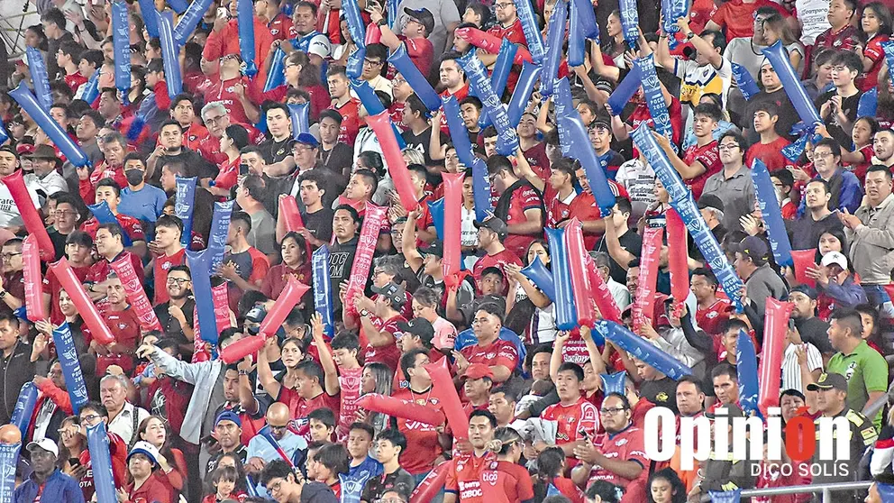 Hinchas del Imperio Escarlata apoyan al equipo, durante un partido disputado en el estadio F&eacute;lix Capriles./ DICO SOL&Iacute;S