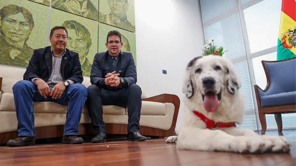 Maduro obsequia al presidente Arce un perro mucuch&iacute;es./ ABI