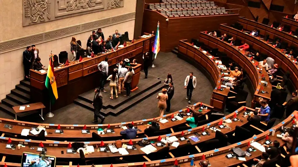 El hemiciclo de la C&aacute;mara de Diputados minutos antes del conflicto este jueves. APG