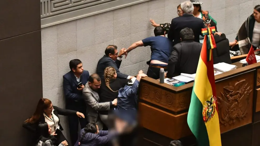 Trifulcas vergonzosas en la C&aacute;mara de Diputados. APG