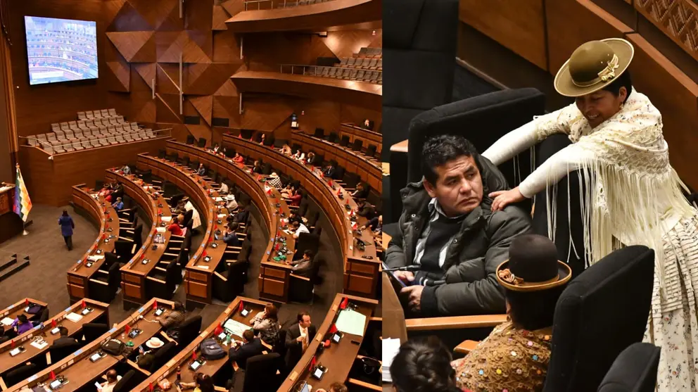 Pleno de la C&aacute;mara de Diputados./ APG