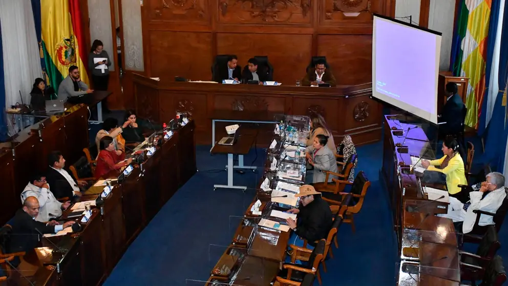 Sesi&oacute;n de la Comisi&oacute;n Mixta de Constituci&oacute;n en el antiguo hemiciclo del Senado. APG