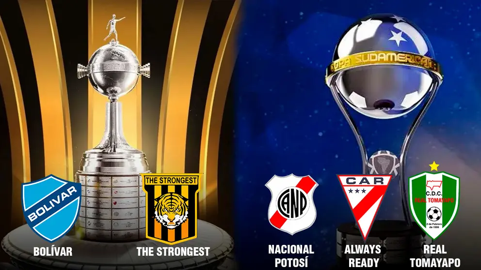 Composici&oacute;n de la Copa Sudamericana y Libertadores. 