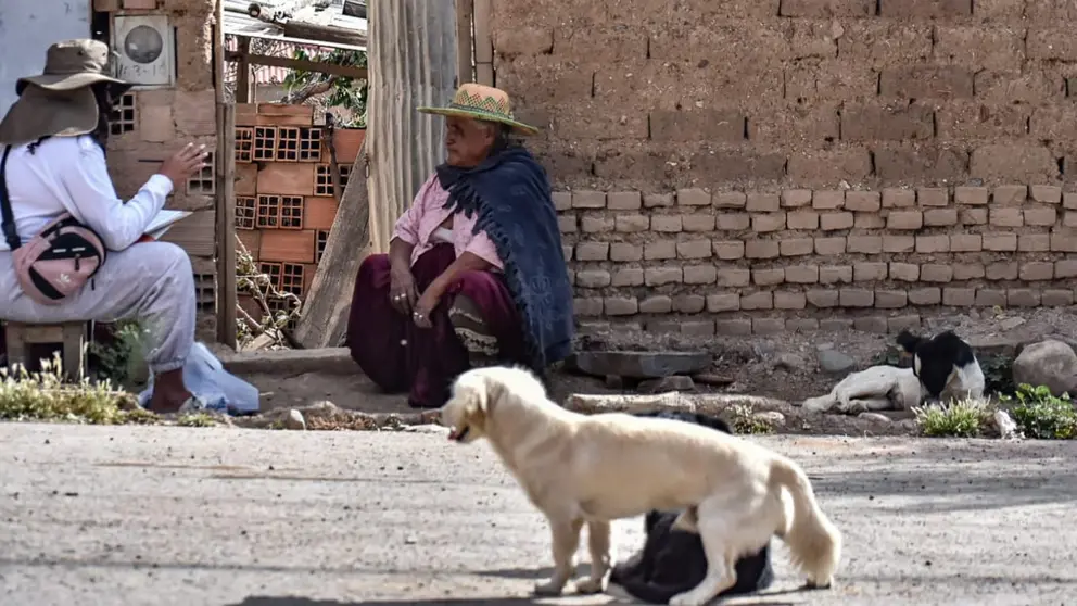 Una censista encuestando en la zona sur de Cochabamba. DICO SOL&Iacute;S