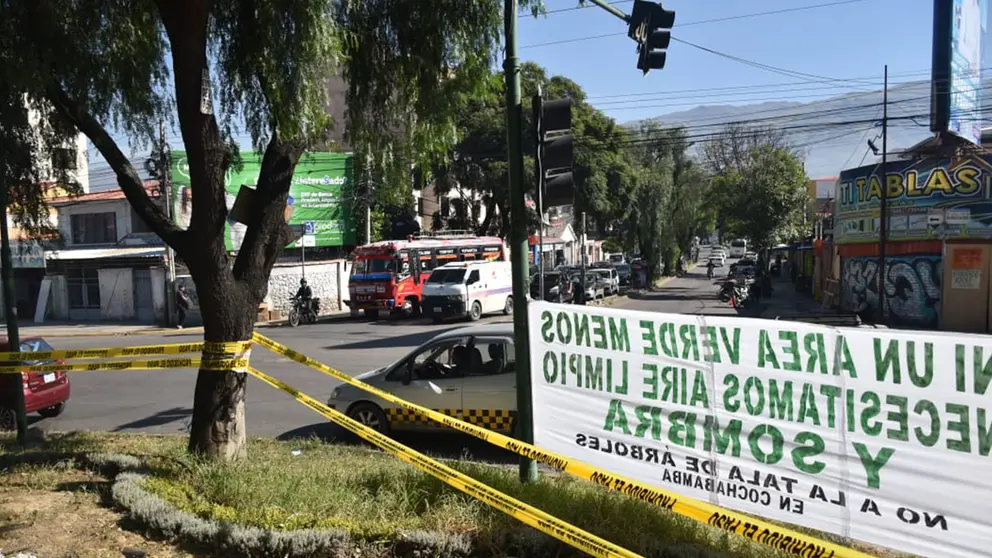 Así se encontraba este miércoles la rotonda de la avenida Perú./ NO&Eacute; PORTUGAL