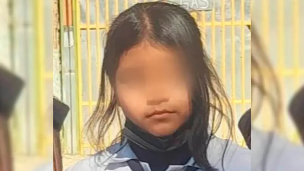 La menor de 14 a&ntilde;os que fue reportada como desaparecida. RRSS