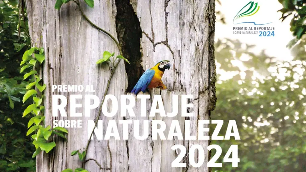 Arte promocional del &lsquo;Premio al Reportaje sobre 
Naturaleza 2024&rsquo;./ CONSERVATION INTERNACIONAL BOLIVIA