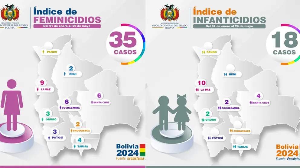 Reporte de feminicidios e infanticidios en Bolivia hasta el 29 de mayo de 2024. FGE