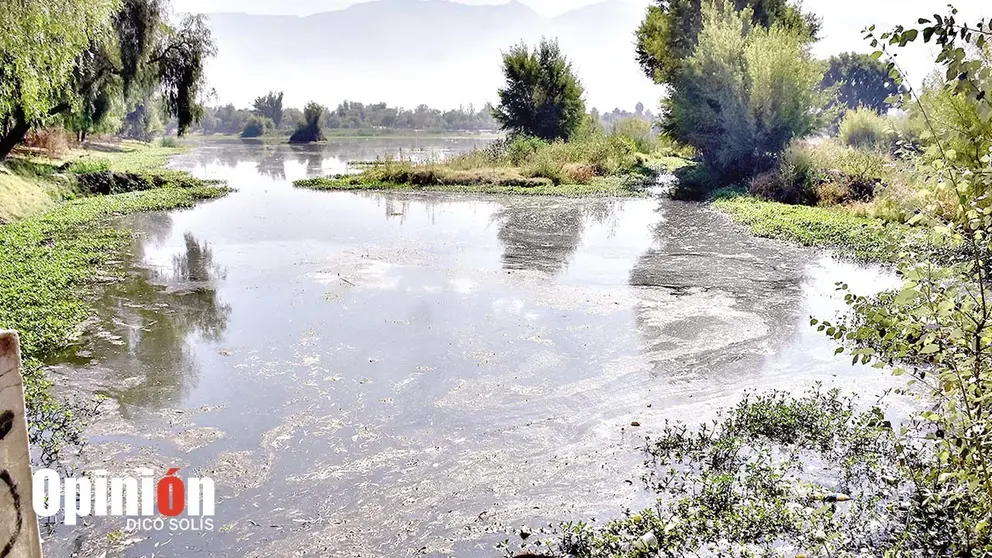 La laguna de Co&ntilde;a Co&ntilde;a, donde se prev&eacute; implementar la obra./ DICO SOL&Iacute;S