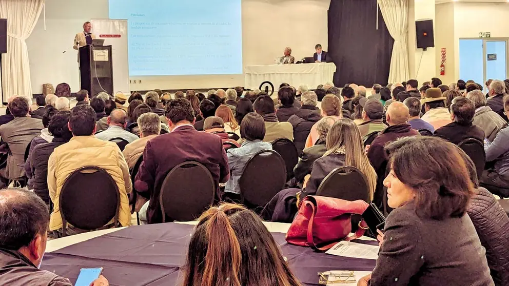 El avance de la informalidad se ha dado sobre todo por la inserción de muchas más mujeres al mercado laboral.